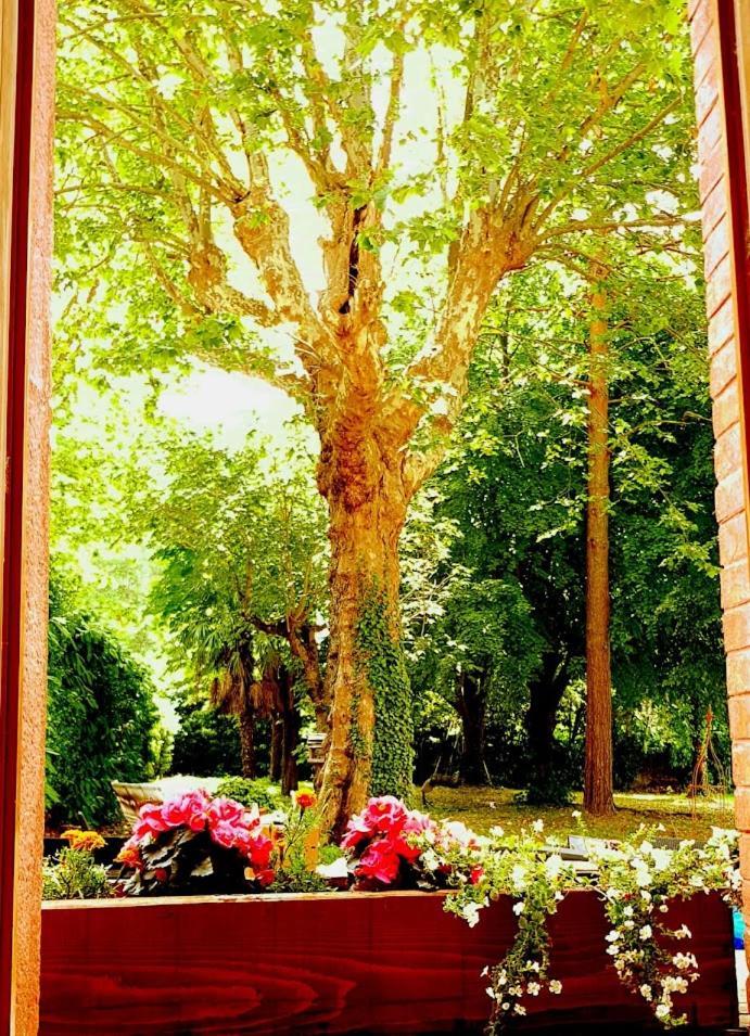 La Scierie Bed and Breakfast Quillan Εξωτερικό φωτογραφία